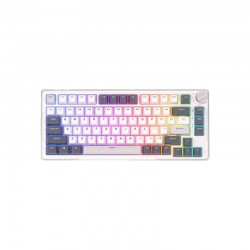 Royal Kludge RK H81 Tri Mode RGB Hot Swap White Night Mechanical Gaming Keyboard (Blue Switch) 