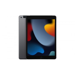 Apple iPad 10.2 inch 9th Gen 64GB Wi-Fi Space Gray (MK2K3ZP/A)